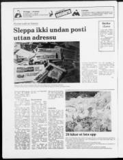 Síða 24
