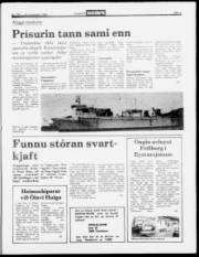 Síða 5