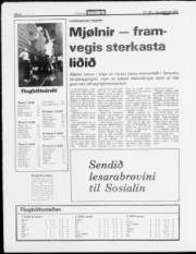 Síða 8