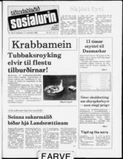Síða 1