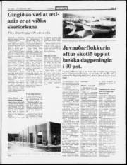 Síða 3