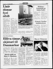 Síða 5