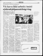 Síða 3