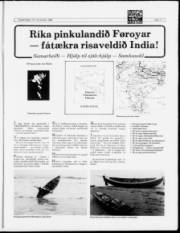 Síða 11