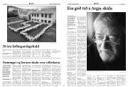 Síða 8