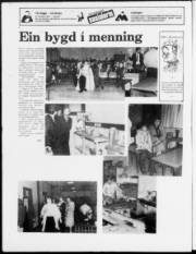 Síða 24
