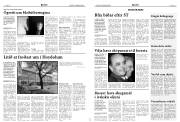 Síða 9