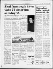 Síða 4