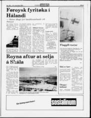 Síða 5