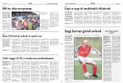 Síða 11