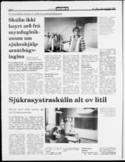 Síða 8