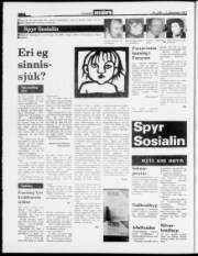 Síða 2