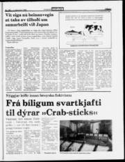 Síða 15