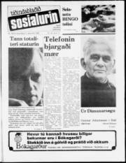 Síða 1