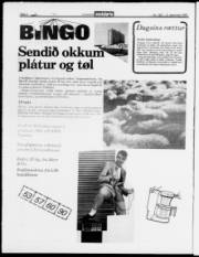 Síða 4