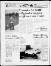 Síða 24