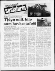 Síða 1
