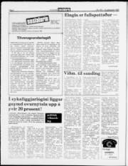 Síða 6