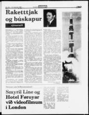 Síða 3
