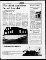 Síða 5