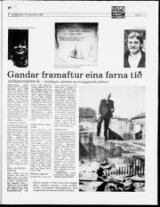 Síða 13