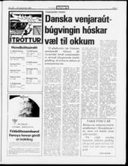 Síða 7
