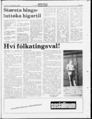 Síða 23
