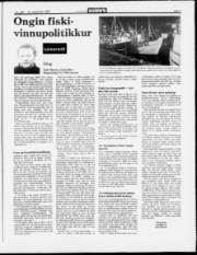 Síða 7