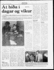 Síða 29