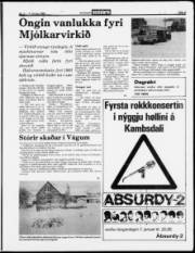 Síða 5