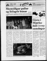 Síða 12