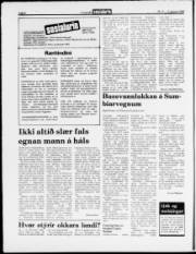 Síða 6