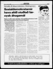 Síða 3