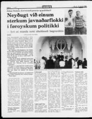 Síða 8