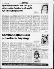 Síða 11