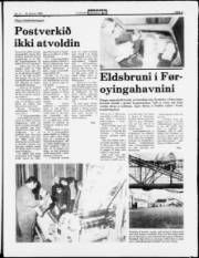 Síða 3