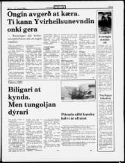Síða 5
