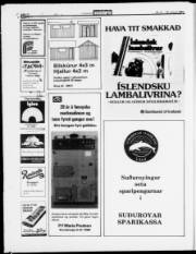 Síða 12