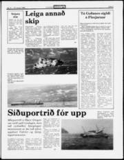 Síða 5