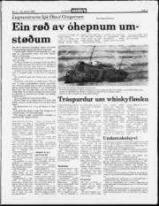 Síða 3