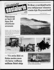 Síða 1