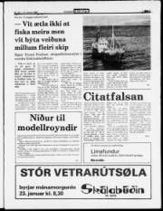Síða 3