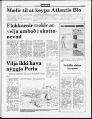 Síða 5