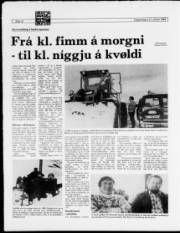 Síða 12