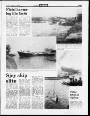 Síða 3