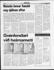 Síða 8