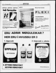 Síða 11