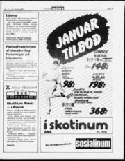 Síða 13