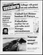 Síða 1