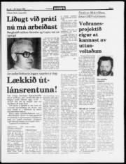 Síða 3
